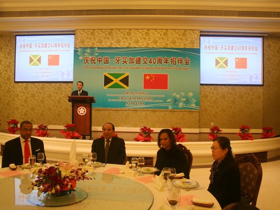 全国政协副主席阿不来提·阿不都热西提出席招待会