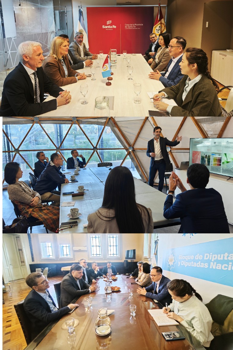 1764725823129759.jpg 4.jpg